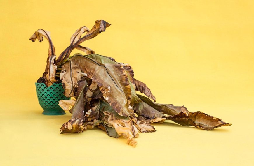 Τόσο πολύ λούμπεν, τόσο πολύ παντού