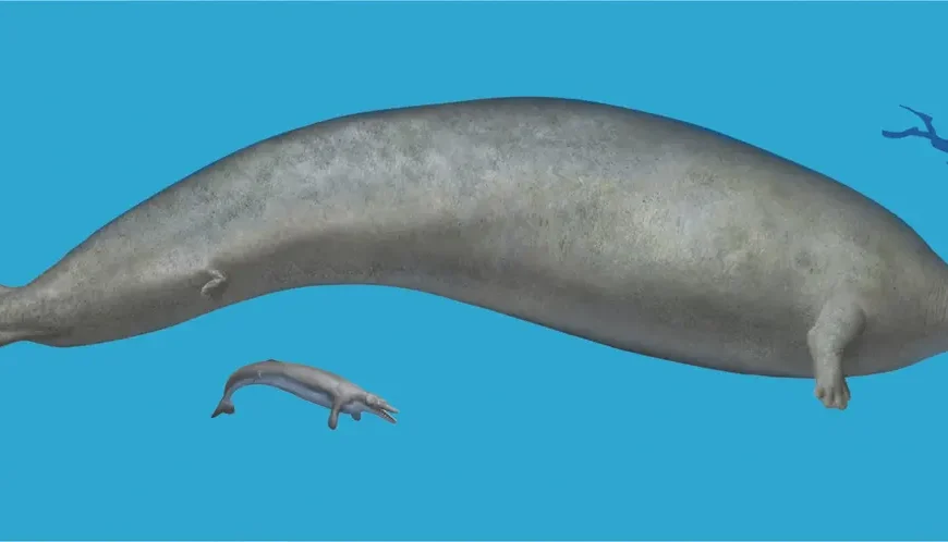 Ο Κολοσσός του Περού: Το βαρύτερο ζώο που υπήρξε στη Γη