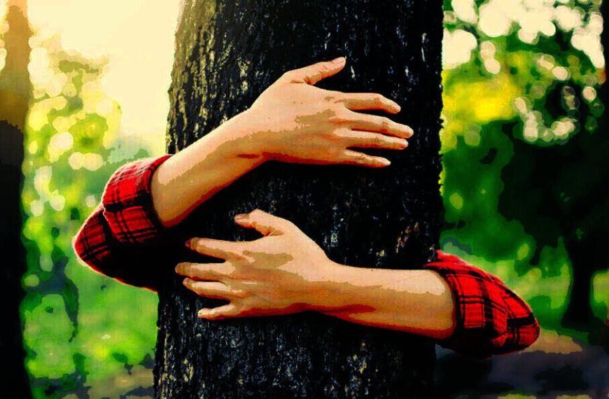 Δημήτρης Σταυρακούδης / Επαναλαμβανόμενες Δασικές Πυρκαγιές στα Ελληνικά Δάση: Μια Εύθραυστη Ισορροπία