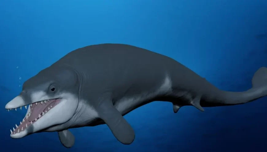 Ο Τουταγχαμών των φαλαινών