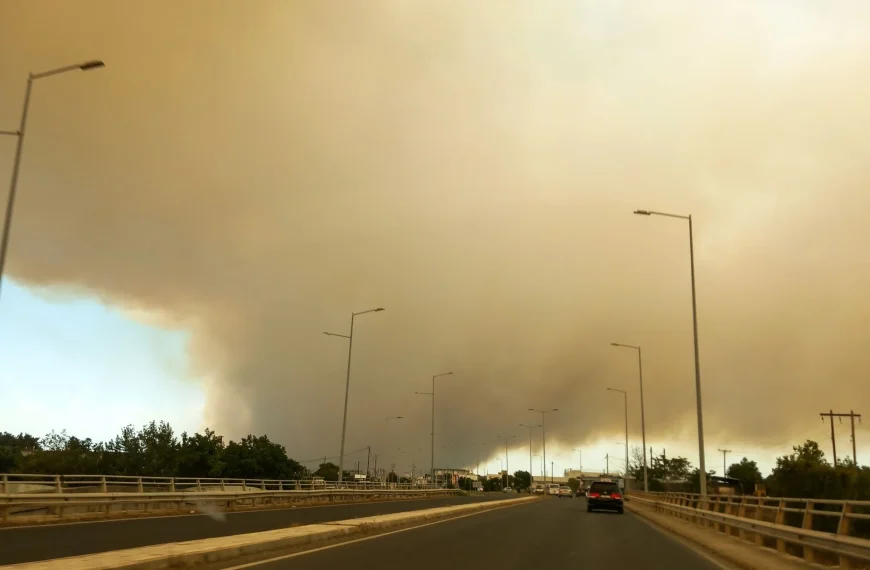 Οι επιπτώσεις των δασικών πυρκαγιών και κλιματικών αλλαγών με το βλέμμα στο αύριο