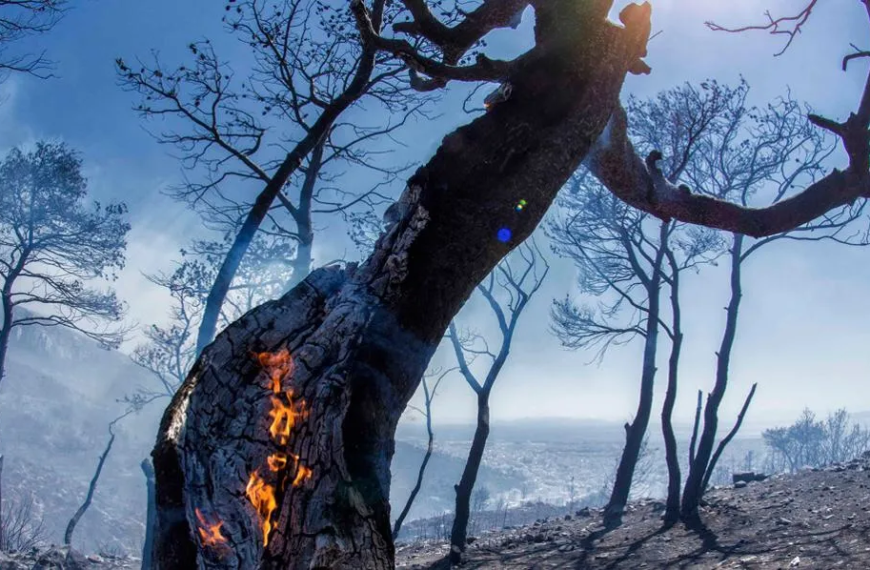 400.000 στρέμματα δάσους έγιναν στάχτη μέσα σε τρεις μέρες