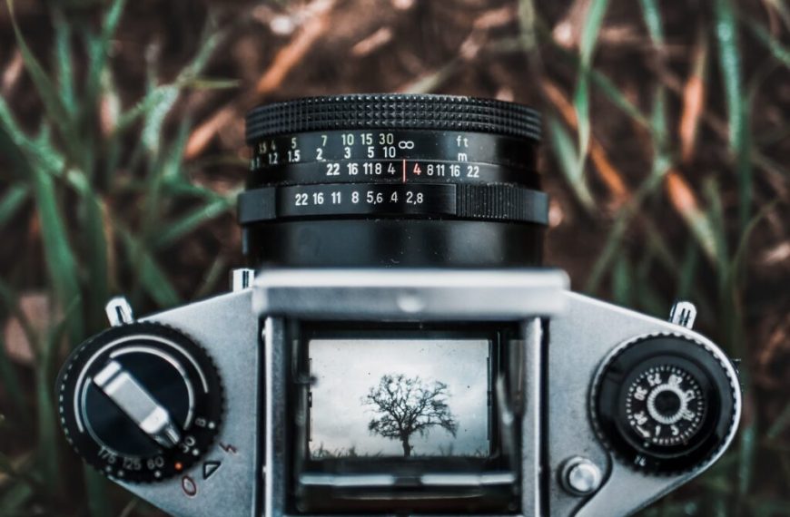 Σκέψεις για την κλιματική κρίση εν μέσω καύσωνα και πυρκαγιών