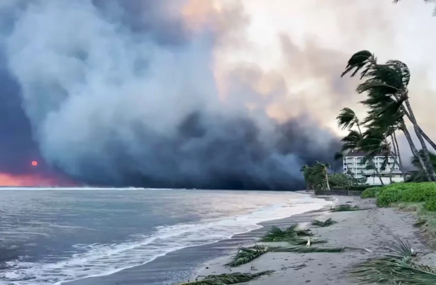 Λέκκας για Χαβάη: Tο «φαινόμενο της καμινάδας» συνέβαλε στην επέλαση της πυρκαγιάς