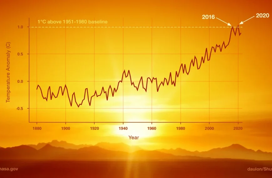 Η NASA επιβεβαίωσε ότι ο φετινός Ιούλιος είναι ο πιο ζεστός στη σύγχρονη ιστορία της Γης