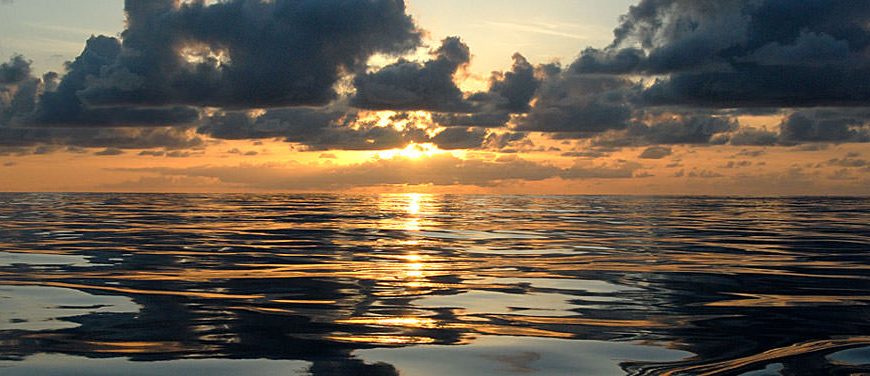 Ωκεανοί: Οι υψηλότερες θερμοκρασίες που έχουν καταγραφεί στην ιστορία