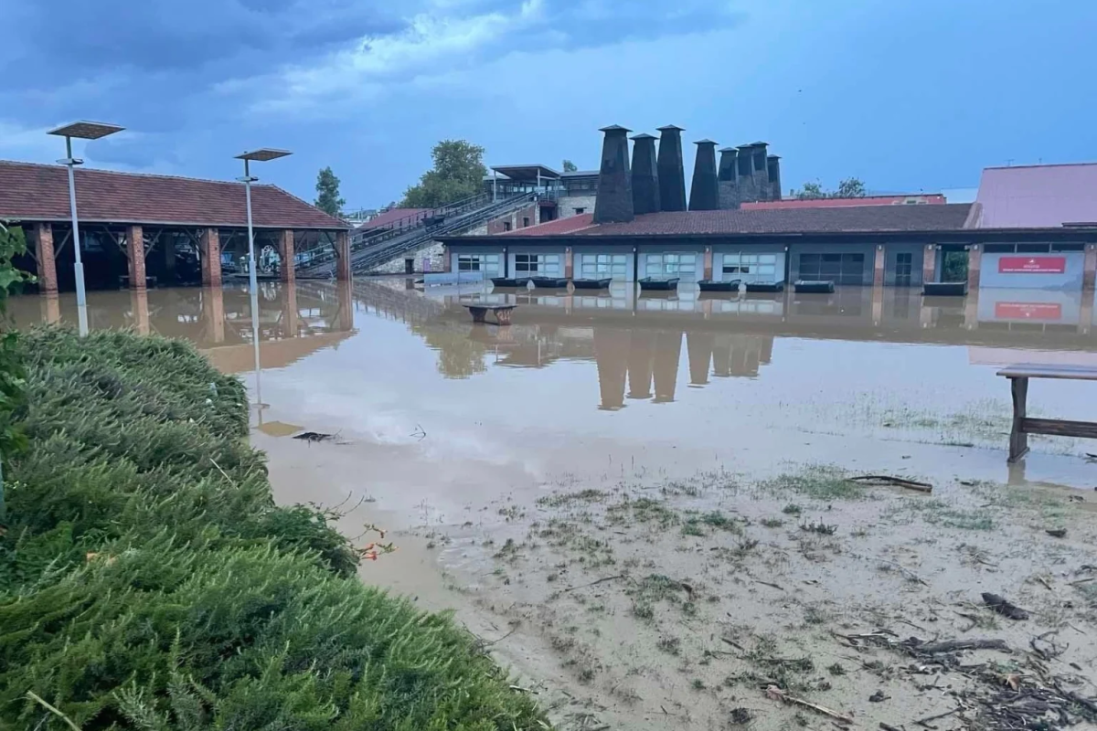 Μεγάλες καταστροφές στο Πανεπιστήμιο Θεσσαλίας – Αναστολή λειτουργίας του ιδρύματος
