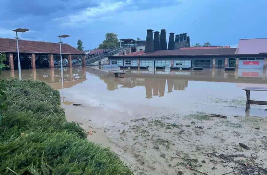 Μεγάλες καταστροφές στο Πανεπιστήμιο Θεσσαλίας – Αναστολή λειτουργίας του ιδρύματος