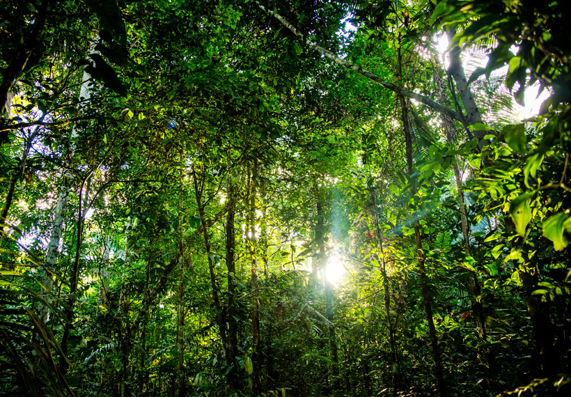 Οι δολοφονίες των αυτόχθονων υπερασπιστών του περιβάλλοντος