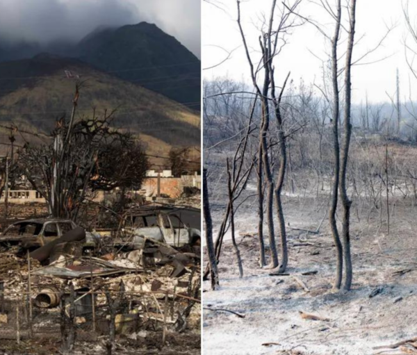 Γιώργος Α. Κωστόπουλος / Δασικές πυρκαγιές στην Ελλάδα 1887-2024