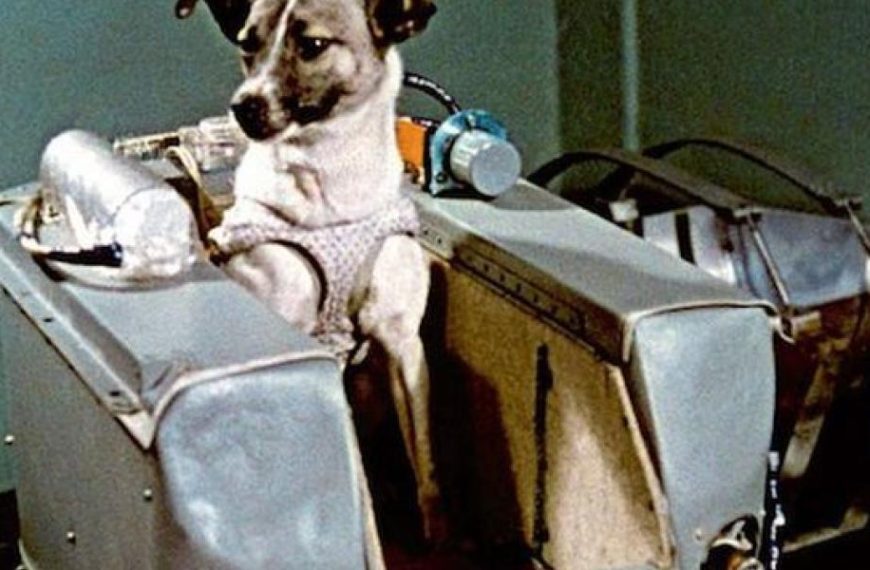 “Ποτέ μην αφήνεις έναν μαρτυρικό θάνατο να χαλάσει τον μύθο”