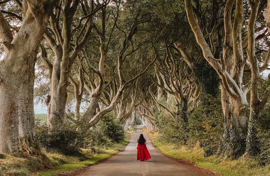 Διάσημα δέντρα από το «Game Of Thrones» πρόκειται να κοπούν