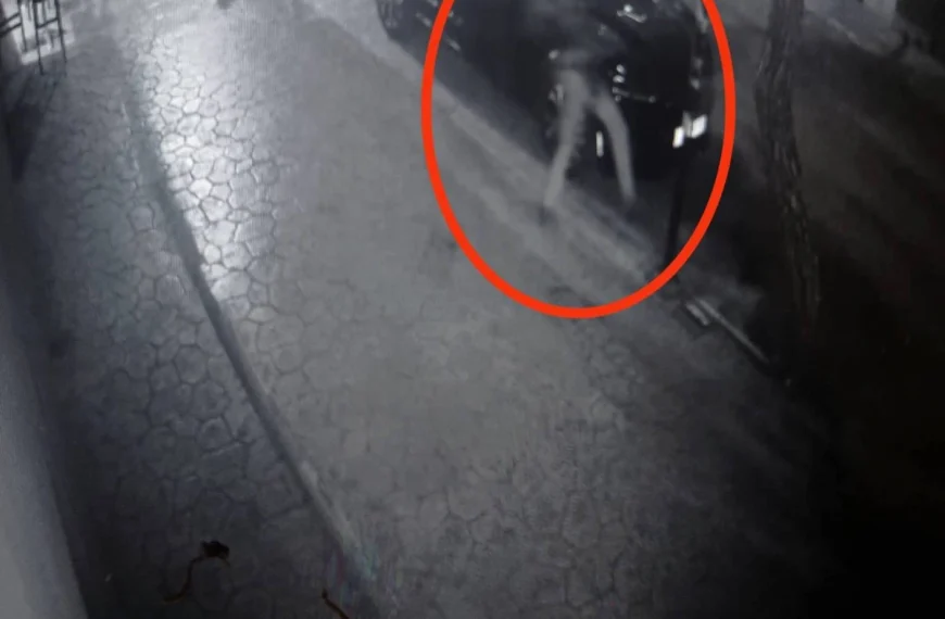 Βίντεο που δημοσιεύει το tvxs.gr δείχνει πότε και από ποιον ξεκίνησε ο άγριος ξυλοδαρμός της 16χρονης 