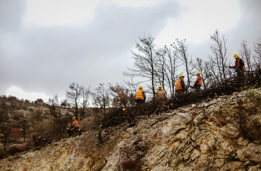 ΔΕΗ: Αποκατάσταση 13.600 στρεμμάτων στην Πάρνηθα με χορηγία 2,5 εκατ. ευρώ
