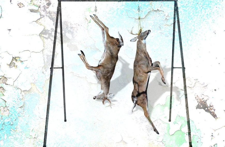 Ασφαλιστικές εισφορές: “Γδέρνοντας” 1,3 εκατ. ελεύθερους επαγγελματίες