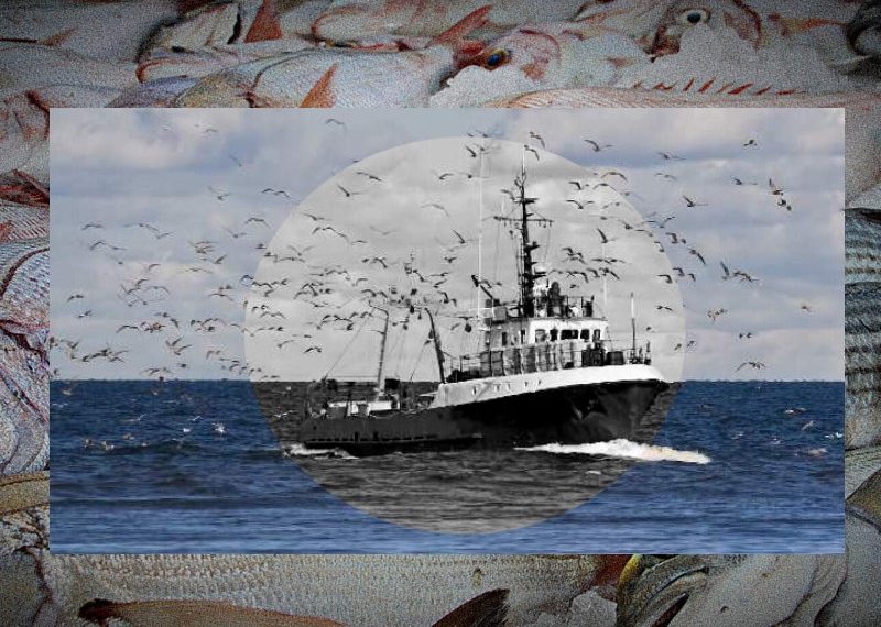 Κωνσταντίνος Τσαγκαράκης / Οι επιπτώσεις της κλιματικής αλλαγής&hellip;