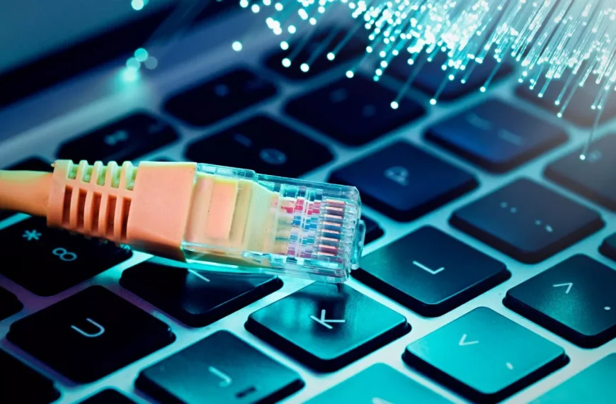 Eurostat: Το 2023 το 12,8% των επιχειρήσεων στην ΕΕ λειτουργούσαν με τη μέγιστη συμβατική ταχύτητα του Διαδικτύου – Μόλις το 2,9% στην Ελλάδα