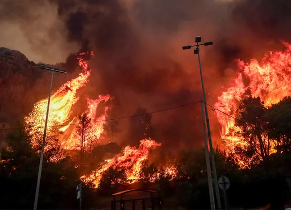 Ο θερμός χειμώνας έφερε πρόωρες πυρκαγιές