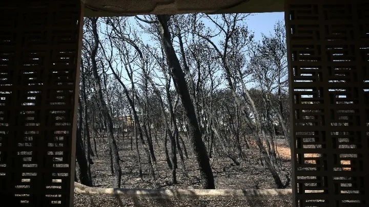 Μάτι: Συνεχίζει την πρόταση του ο Εισαγγελέας  – Ποιους κρίνει ενόχους, ποιους απαλλάσσει