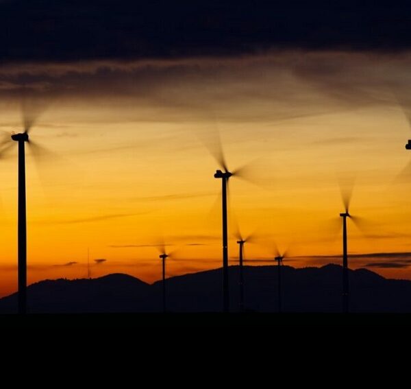 Άκης Τσελέντης / «Το μεγάλο παραμύθι με τις πυρκαγιές και&hellip;