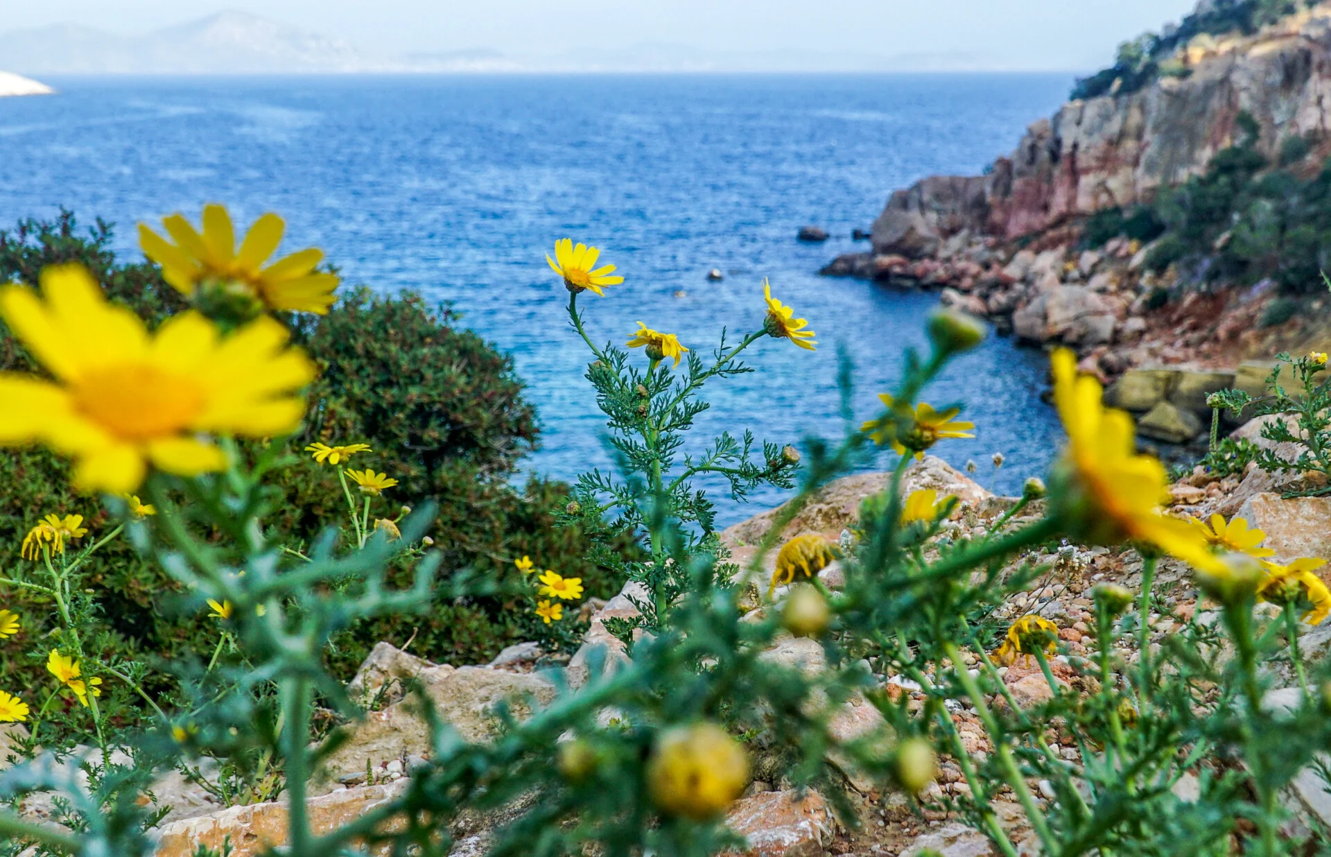 Ζεστός ο καιρός σήμερα, με θερμοκρασίες που φθάνουν τους 30 βαθμούς