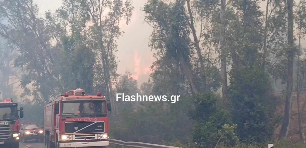 Συναγερμός για μεγάλη πυρκαγιά στη Σούδα 