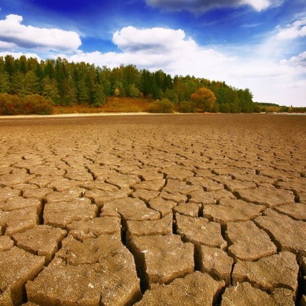 Το 52% της Ευρώπης πλήττεται από ξηρασία