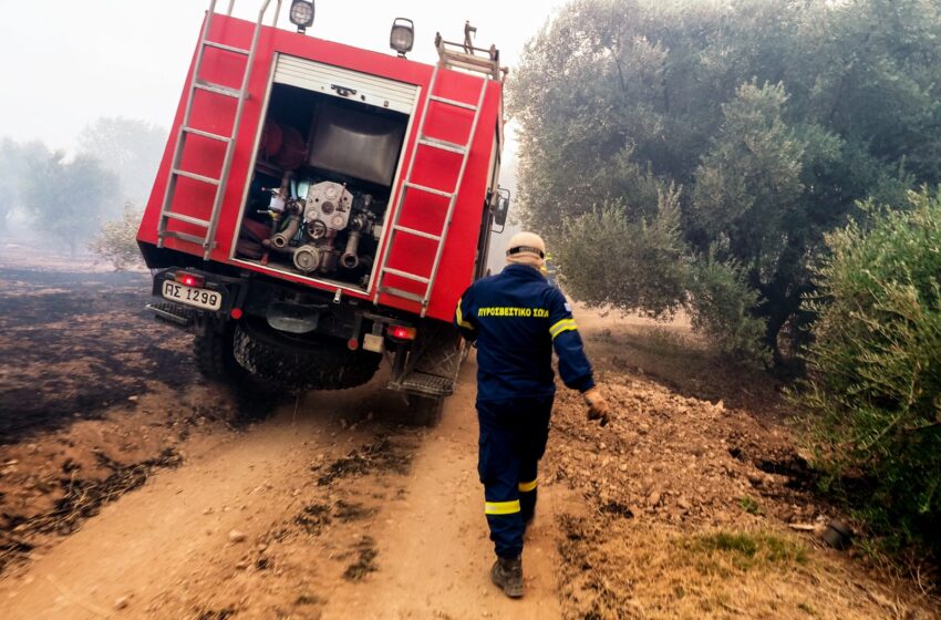 Μάχη με τις φλόγες σε Κερατέα, Ριτσώνα και Σταμάτα 