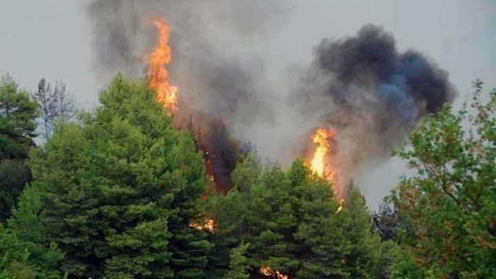 «Hot – Dry – Windy»: Αυξημένη επικινδυνότητα για δασικές πυρκαγιές από σήμερα μέχρι και την Παρασκευή