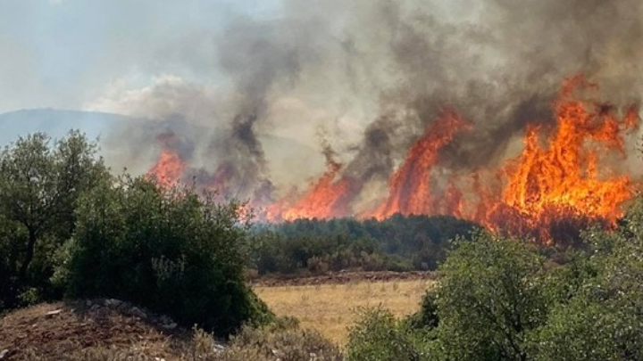 Ενισχύθηκαν οι επίγειες και εναέριες δυνάμεις στη φωτιά της Κερατέας- Σπίτια παραδόθηκαν στις φλόγες