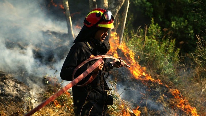 Διακοπή της κυκλοφορίας σε τμήμα της λεωφόρου Επιδαύρου λόγω της φωτιάς στο Σοφικό