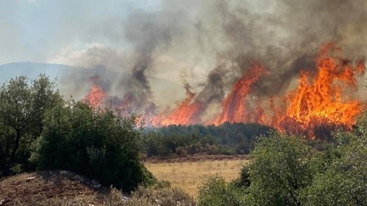 Πολύ υψηλός κίνδυνος πυρκαγιάς αύριο σε αρκετές περιοχές