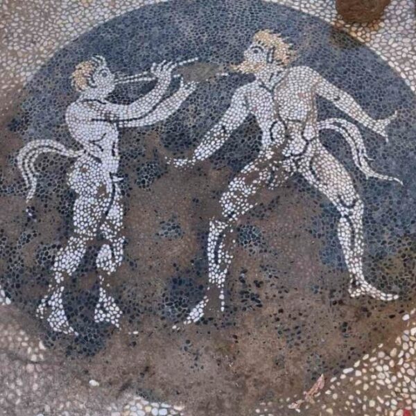 Ερέτρια: Αποκαλύφθηκε ψηφιδωτό δάπεδο του 4ου αιώνα π.Χ με Σατύρους