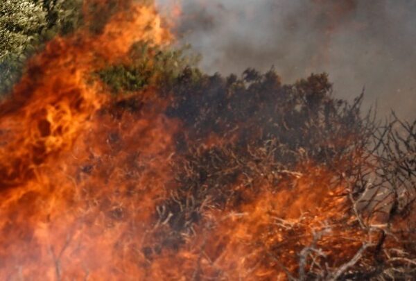 Την Τετάρτη θα απολογηθεί ο 80χρονος που φέρεται να έβαλε&hellip;