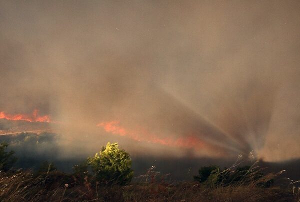 Πυροσβεστική: Παραμένει επικίνδυνη η κατάσταση στον Βαρνάβα – Μήνυμα του 112 στους&hellip;
