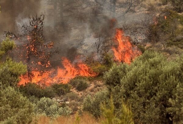 Πυρκαγιές σε Κεφαλονιά, Ζάκυνθο, Αιτωλοακαρνανία και Φωκίδα – Μάχη των&hellip;