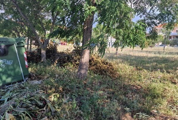 Οι επιπτώσεις των ακαθάριστων οικοπέδων στην εξέλιξη των πυρκαγιών στην&hellip;