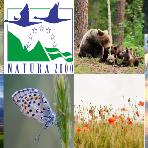 Μόνο 12 από τις 174 θαλάσσιες περιοχές Natura προστατεύονται – Επιστολή-SOS 9…