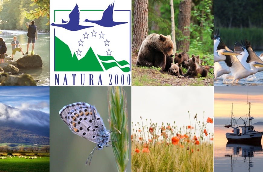 Μόνο 12 από τις 174 θαλάσσιες περιοχές Natura προστατεύονται –…