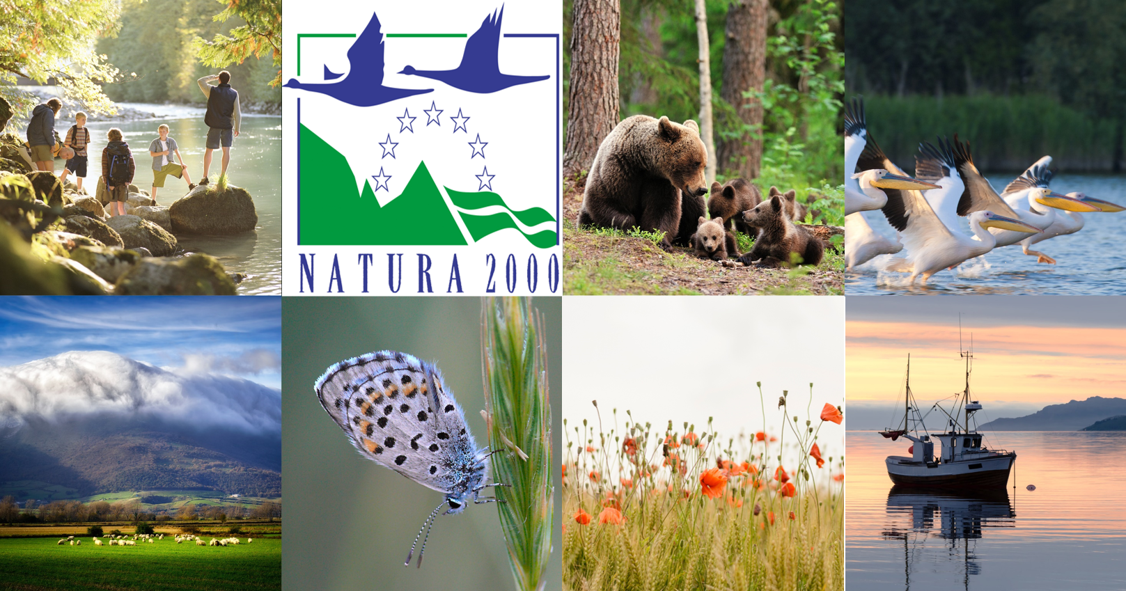 Μόνο 12 από τις 174 θαλάσσιες περιοχές Natura προστατεύονται – Επιστολή-SOS 9 περιβαλλοντικών οργανώσεων στον Kυριάκο Μητσοτάκη