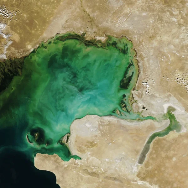 Κασπία Θάλασσα: Η μεγαλύτερη λίμνη του πλανήτη πεθαίνει