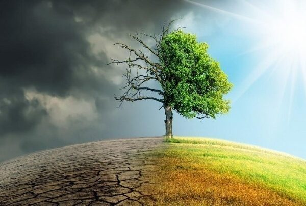 COP29: Σε ανώτατο επίπεδο η εκπροσώπηση της Ελλάδας στη Διάσκεψη&hellip;