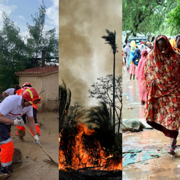 Γιάννης Τσιπουρίδης / Ο βασιλιάς είναι γυμνός…