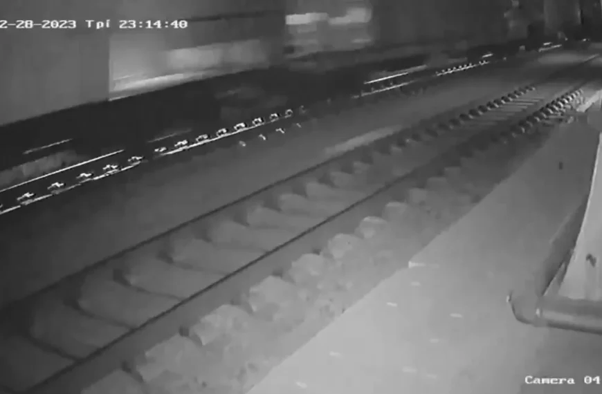 Δημήτρης Πλακιάς για το νέο βίντεο της αμαξοστοιχίας στα Τέμπη:…