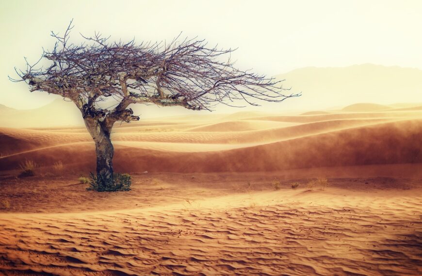 Image by cocoparisienne on Pixabay