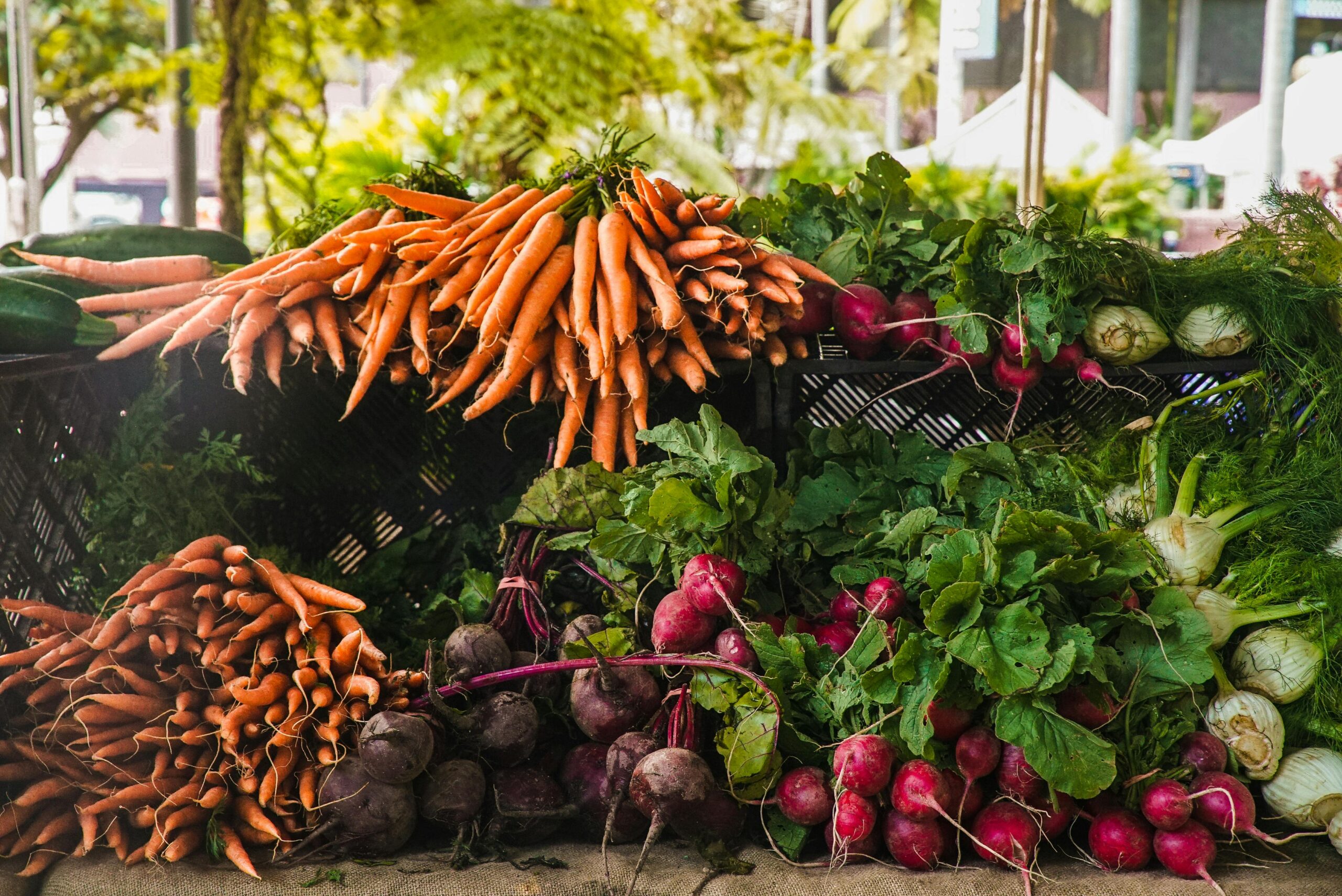 Photo by Wendy Wei on Pexels
