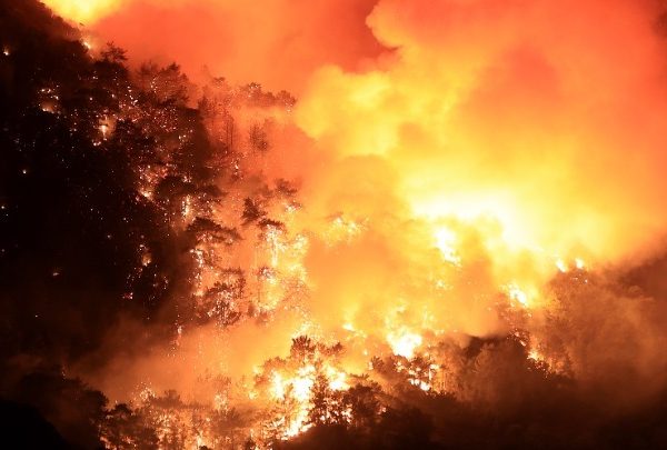Καίγεται η Σμύρνη: Μεγάλη δασική πυρκαγιά απειλεί κατοικίες και βιομηχανικές&hellip;