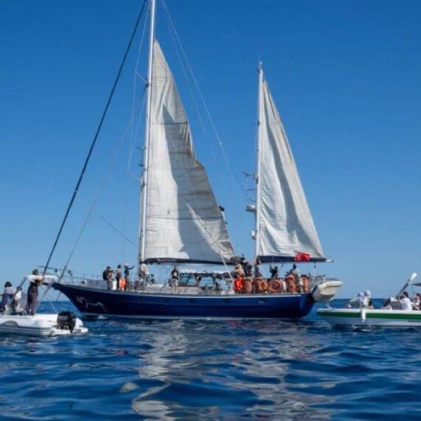 Το πλοίο «Μαντλίν» κατευθύνεται προς τη Γάζα – Φόβοι για στρατιωτική αναχαίτιση&hellip;