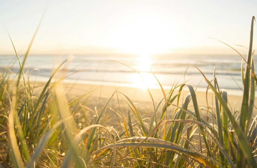 Photo by Nathan Cowley on Pexels