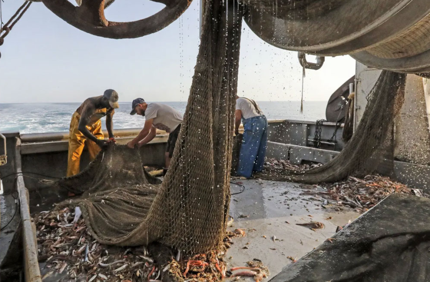 Η αθέατη καταστροφή των βυθών και η κραυγή του David Attenborough για&hellip;